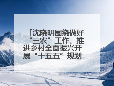 沈晓明围绕做好“三农”工作、推进乡村全面振兴开展“十五五”规划专题调研