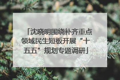 沈晓明围绕补齐重点领域民生短板开展“十五五”规划专题调研