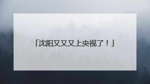 沈阳又又又上央视了！