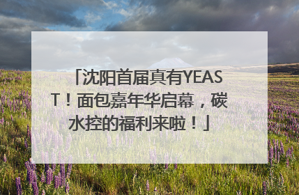 沈阳首届真有YEAST！面包嘉年华启幕，碳水控的福利来啦！