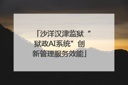 沙洋汉津监狱“狱政AI系统”创新管理服务效能