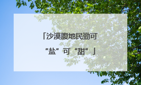 沙漠腹地民勤可“盐”可“甜”