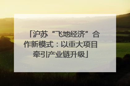 沪苏“飞地经济”合作新模式：以重大项目牵引产业链升级