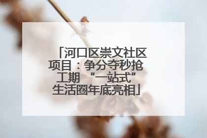 河口区崇文社区项目：争分夺秒抢工期 “一站式”生活圈年底亮相