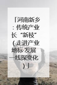 河南新乡：传统产业长“新枝”（走进产业地标·发展一线探变化）