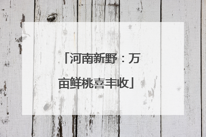 河南新野：万亩鲜桃喜丰收