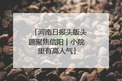 河南日报头版头题聚焦信阳｜小院里有高人气