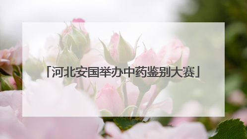 河北安国举办中药鉴别大赛
