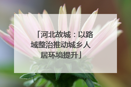 河北故城：以路域整治推动城乡人居环境提升