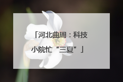 河北曲周：科技小院忙“三夏”