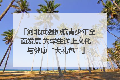 河北武强护航青少年全面发展 为学生送上文化与健康“大礼包”