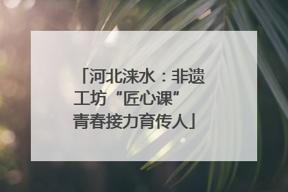 河北涞水：非遗工坊“匠心课” 青春接力育传人