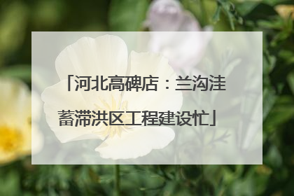 河北高碑店：兰沟洼蓄滞洪区工程建设忙