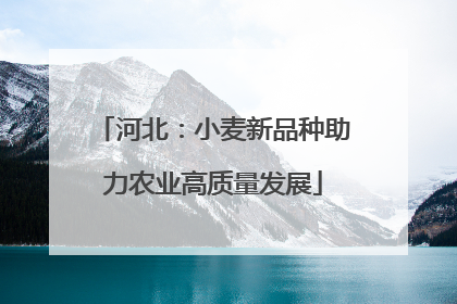 河北：小麦新品种助力农业高质量发展
