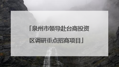 泉州市领导赴台商投资区调研重点招商项目