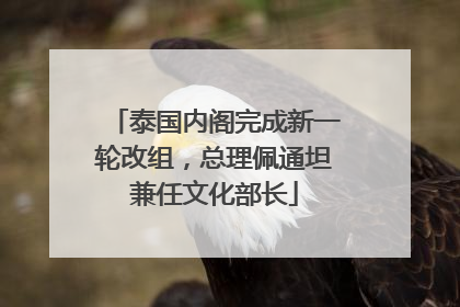泰国内阁完成新一轮改组，总理佩通坦兼任文化部长