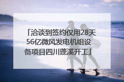 洽谈到签约仅用28天 56亿微风发电机组设备项目四川蓬溪开工