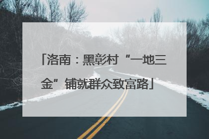 洛南：黑彰村“一地三金”铺就群众致富路