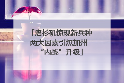 洛杉矶惊现新兵种 两大因素引爆加州“内战”升级