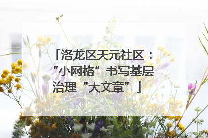 洛龙区天元社区：“小网格”书写基层治理“大文章”