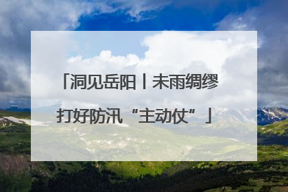 洞见岳阳丨未雨绸缪 打好防汛“主动仗”