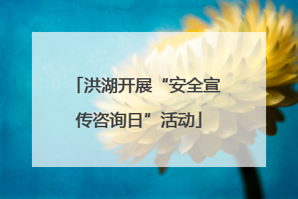 洪湖开展“安全宣传咨询日”活动