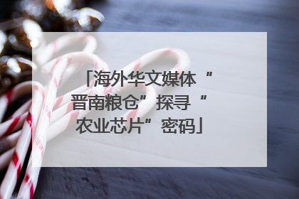 海外华文媒体“晋南粮仓”探寻“农业芯片”密码