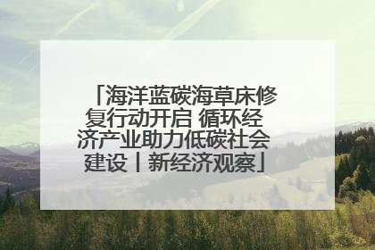 海洋蓝碳海草床修复行动开启 循环经济产业助力低碳社会建设丨新经济观察