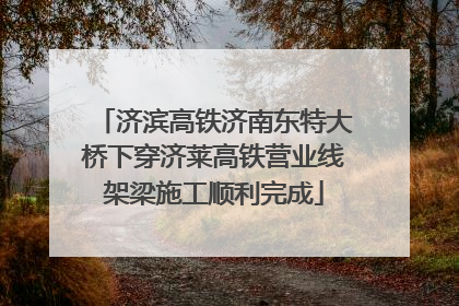 济滨高铁济南东特大桥下穿济莱高铁营业线架梁施工顺利完成