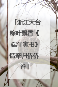 浙江天台粽叶飘香《端午家书》情牵归侨侨眷