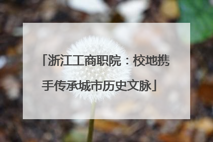 浙江工商职院：校地携手传承城市历史文脉