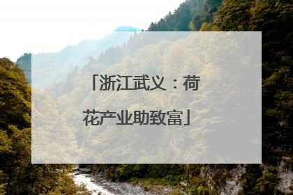 浙江武义：荷花产业助致富