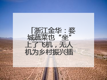 浙江金华：婺城蔬菜也“坐”上了飞机，无人机为乡村振兴插上“翅膀”