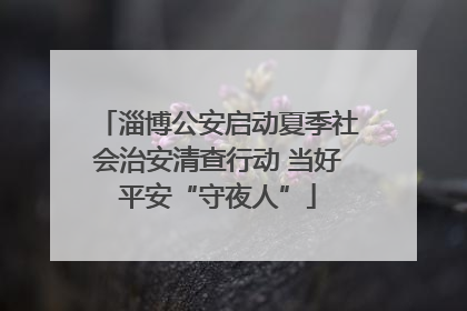 淄博公安启动夏季社会治安清查行动 当好平安“守夜人”