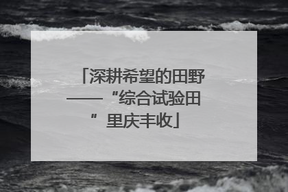 深耕希望的田野——“综合试验田”里庆丰收