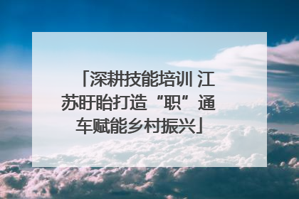 深耕技能培训 江苏盱眙打造“职”通车赋能乡村振兴