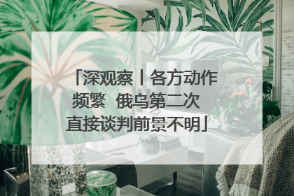 深观察丨各方动作频繁  俄乌第二次直接谈判前景不明