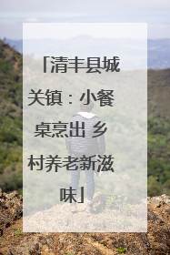 清丰县城关镇：小餐桌烹出 乡村养老新滋味
