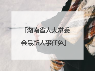 湖南省人大常委会最新人事任免