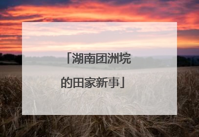 湖南团洲垸的田家新事