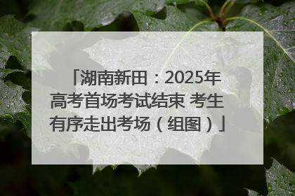湖南新田：2025年高考首场考试结束 考生有序走出考场（组图）