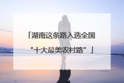 湖南这条路入选全国“十大最美农村路”