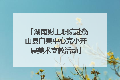 湖南财工职院赴衡山县白果中心完小开展美术支教活动