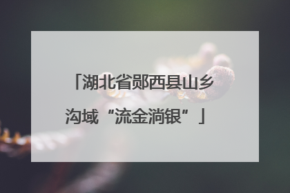 湖北省郧西县山乡沟域“流金淌银”