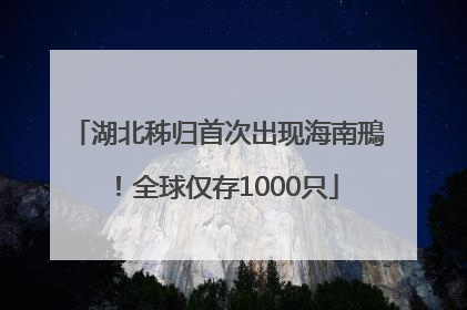 湖北秭归首次出现海南鳽！全球仅存1000只