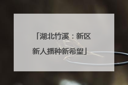 湖北竹溪：新区新人播种新希望