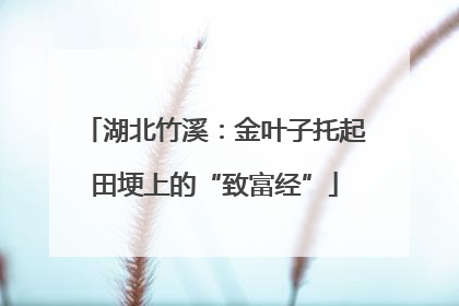 湖北竹溪：金叶子托起田埂上的“致富经”