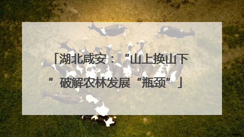 湖北咸安：“山上换山下”破解农林发展“瓶颈”