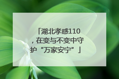 湖北孝感110，在变与不变中守护“万家安宁”