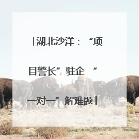 湖北沙洋：“项目警长”驻企 “一对一”解难题